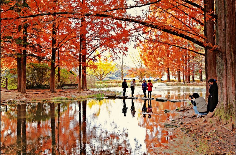 가을을 담는 사람들