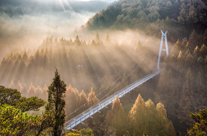 장태산 하늘다리