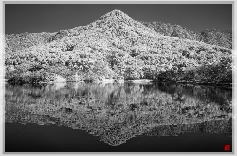 눈꽃이 피었습니다