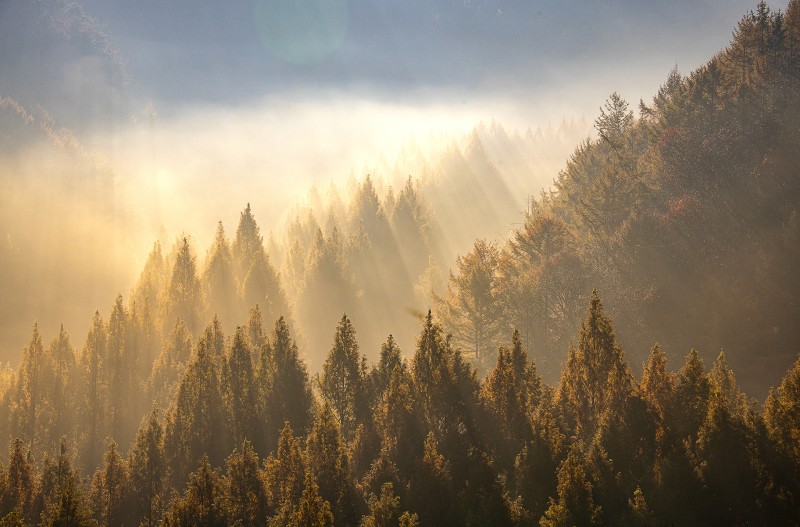 내년을 기약하면서