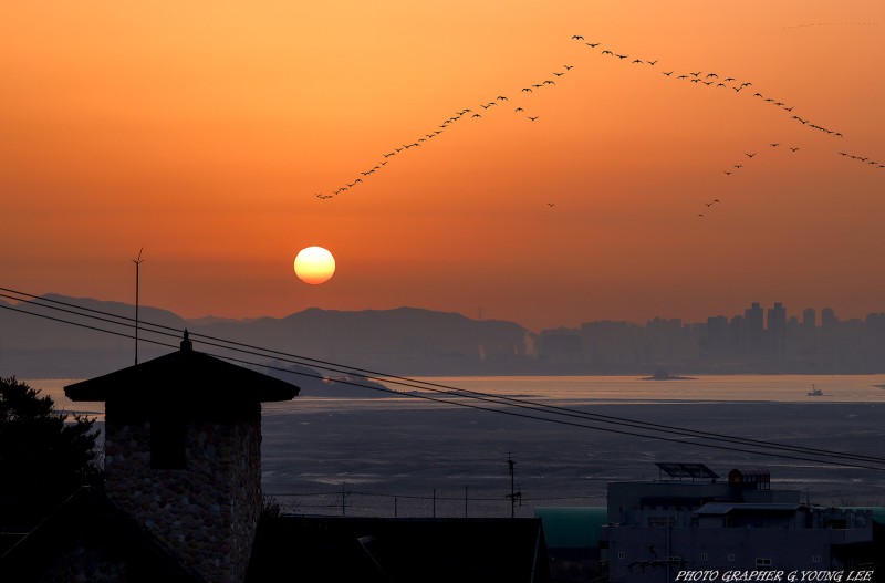 강화도 일출