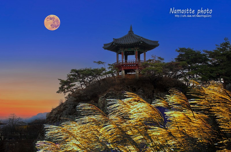 으악새 슬피 우니