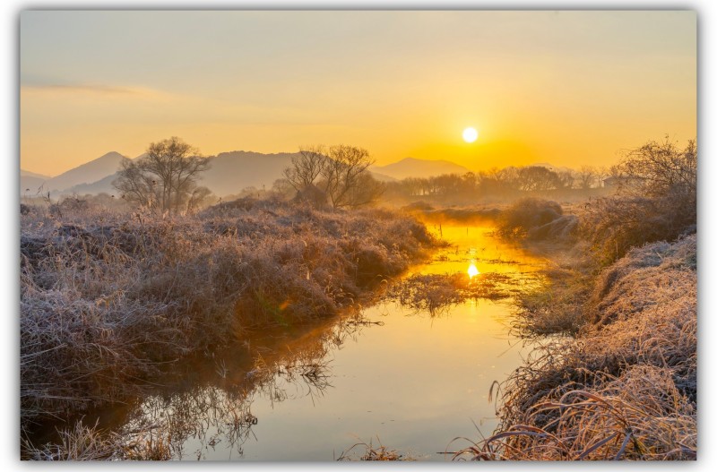 화포천 가을 아침