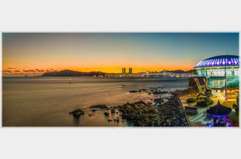 꽃피는동백섬에