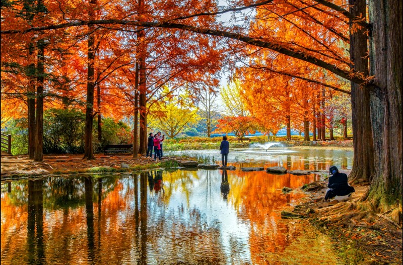 가을담는 여인들