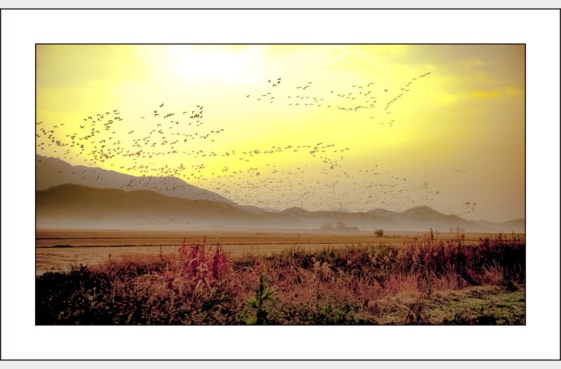 순천만의 아침..