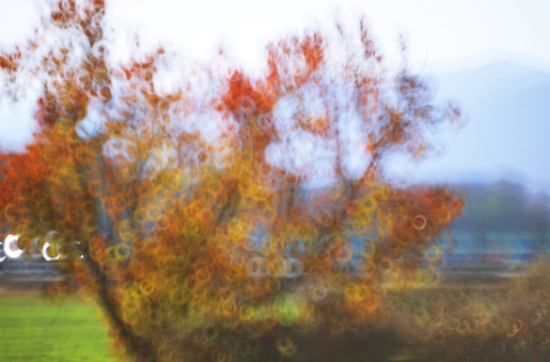 아직 가을이고 싶다