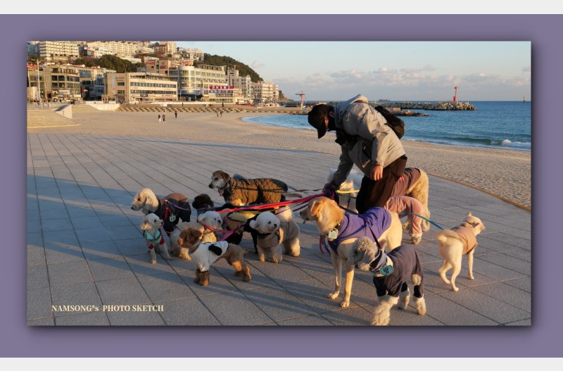 우리는 한 식구 ---