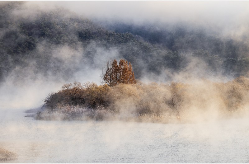 물안개피는 아침