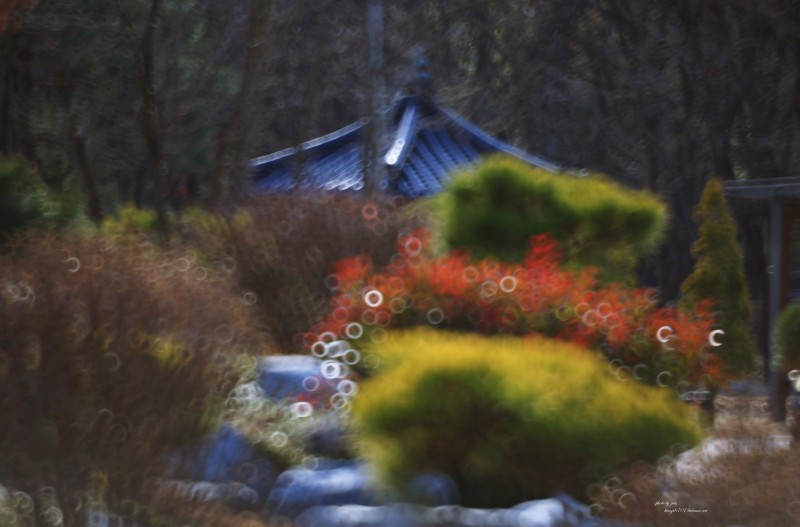 떠나지 못한 가을