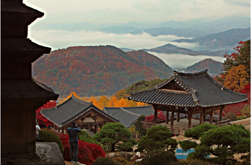 산사의 가을