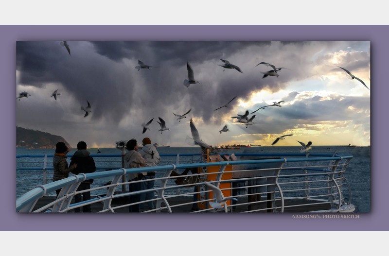 갈매기들의 춤 -