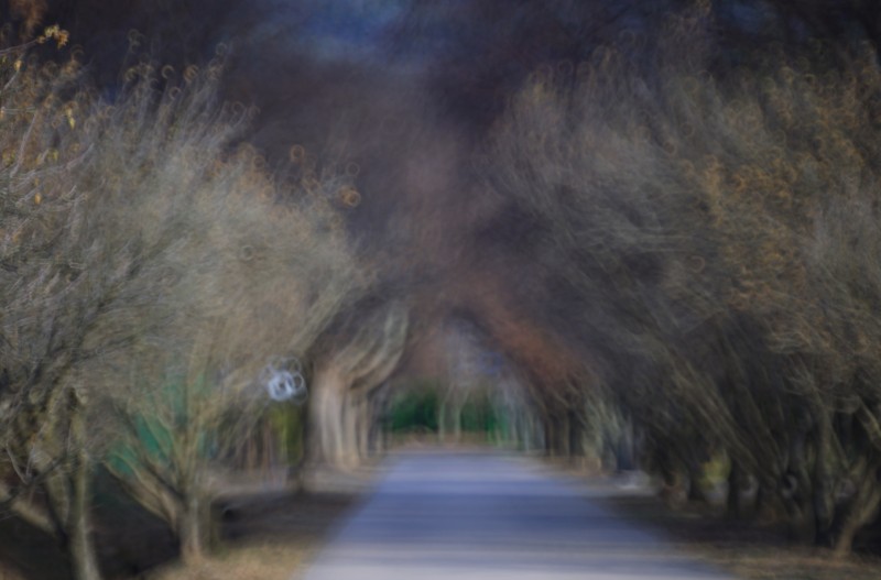 가을이 머문자리