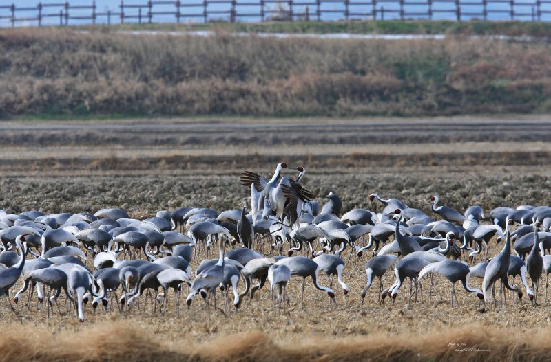와 ~싸우노 ...!??