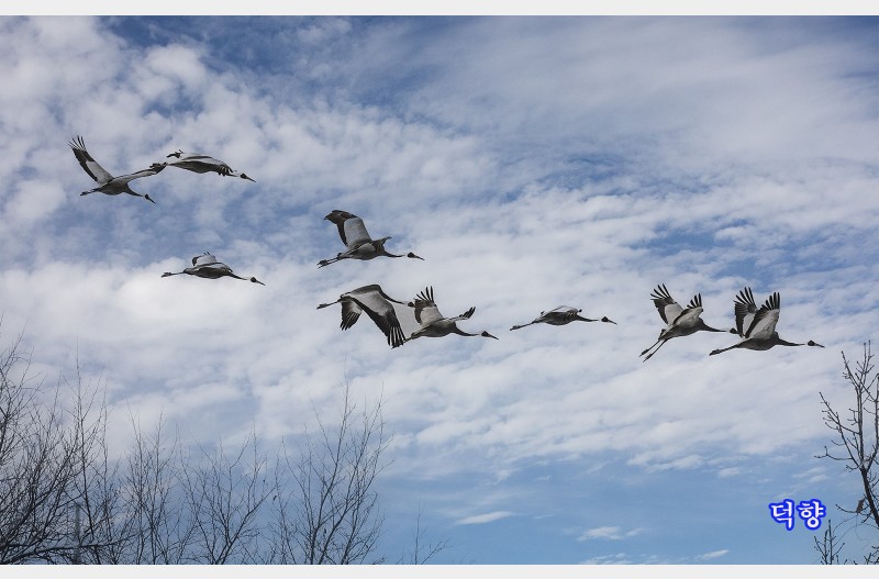 철새는날아가고.