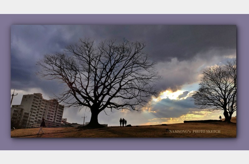 느티나무 언덕 ---