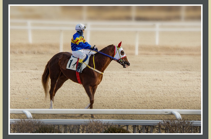 승마기수은퇴식 . . . . . . . . .