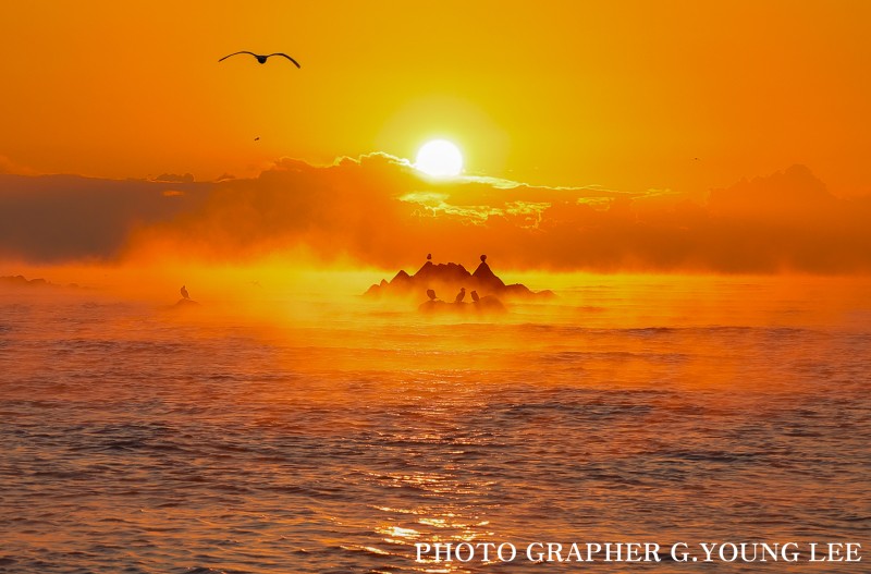 문무대왕릉 일출