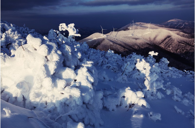 함백산에서 바라본 풍력발전기