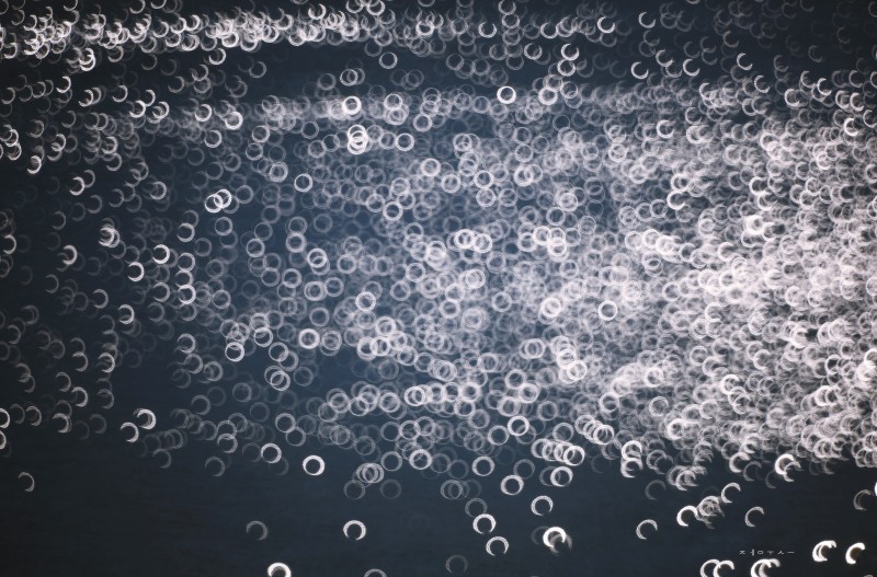 빛이 전하는 말 ...