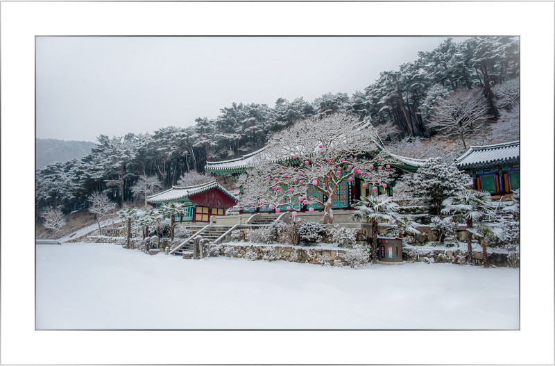 만연사의 겨울,,