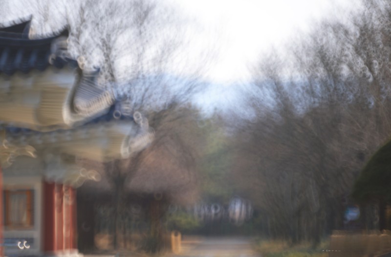 봄을 기다리며 ...