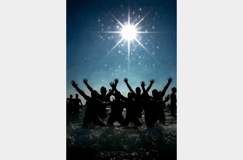 북극곰대회장에서