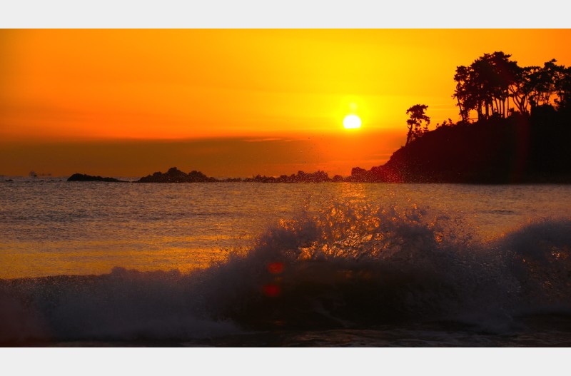 2026년 첫해보기