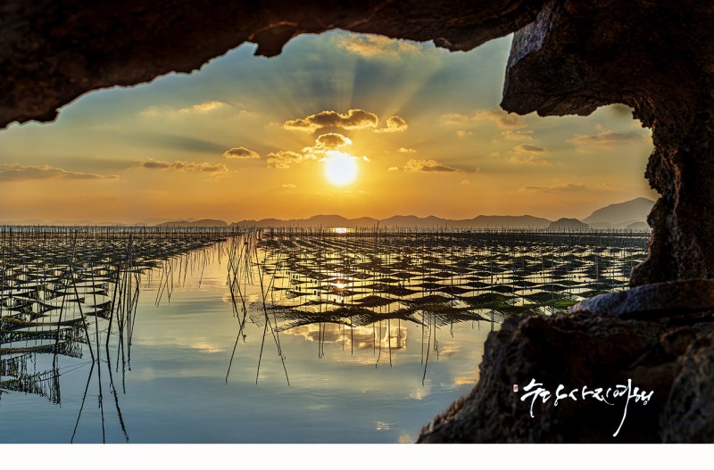 매생이 밭 정원